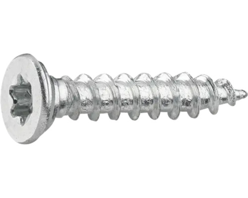 Enkel skruv med Torx-drivning