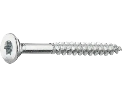Träskruv med torxdrift