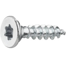 Torx skruv