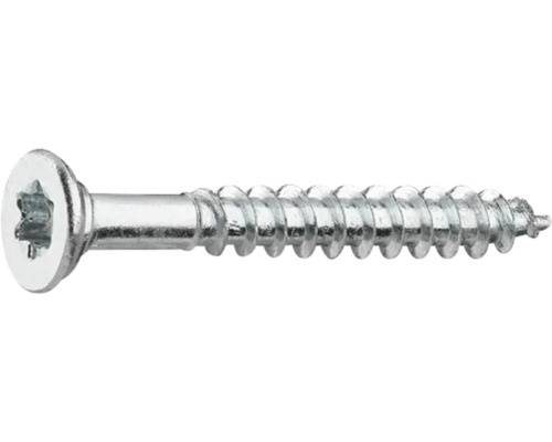 Träskruv med torx-drivning