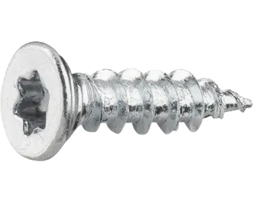 Metallskruv med torxdrift