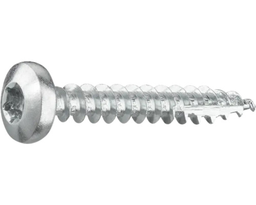 Metallskruv med linshuvud och invändig sexkant