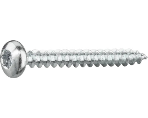 Metallskruv med linshuvud och invändig sexkant