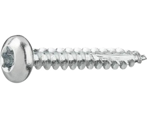 Metallskruv med Torx-drivning