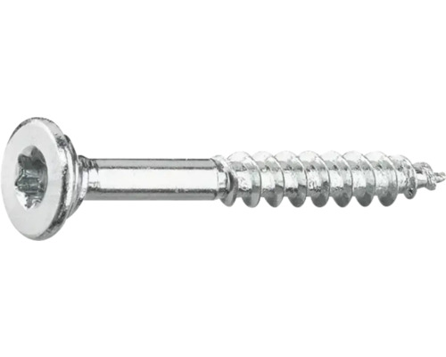 Träskruv med linshuvud och Torx-fäste