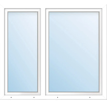 Fönster med två bågar och ram