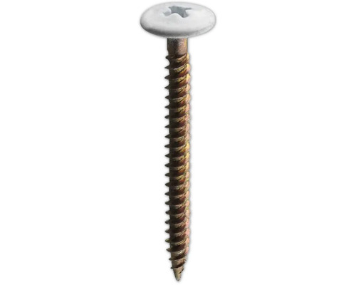 Enkel skruv med linshuvud