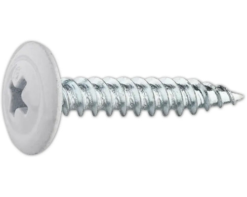 Enstaka skruv med linshuvud