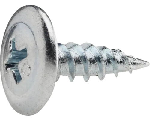 Metallskruv med linshuvud och Phillips-spår