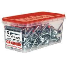 Skruvar 4,2x41 mm i transparent låda med rött lock