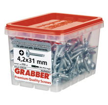 Grabber plåt- och montageskruv 4,2x31 mm i transparent behållare med rött lock