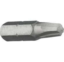 Torx bits skruvmejselbit