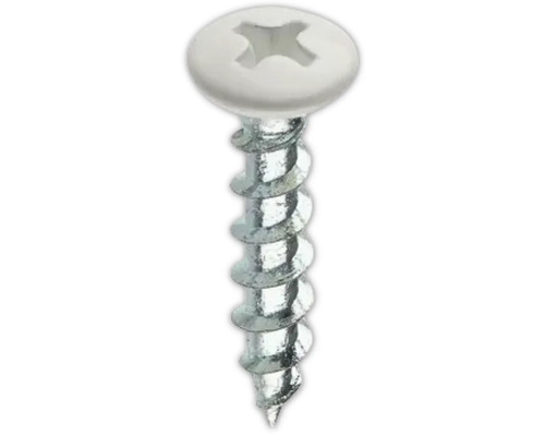 Träskruv med linshuvud och Phillips-spår