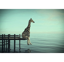 Giraff sitter på en brygga vid havet