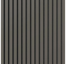 Panelvägg med vertikala lameller