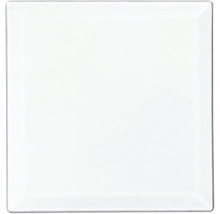 Fyrkantig glasplatta