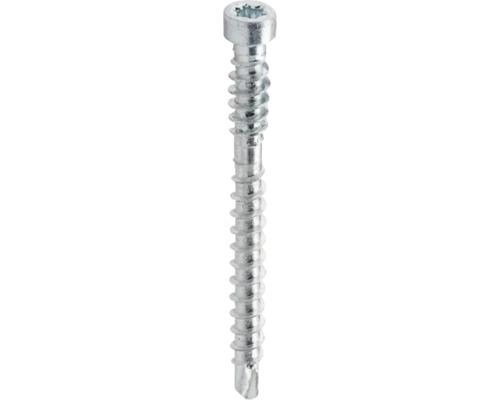 Närbild av en stålskruv med Torx-drivning