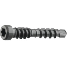 Enkel skruv med Torx-drivning och gänga