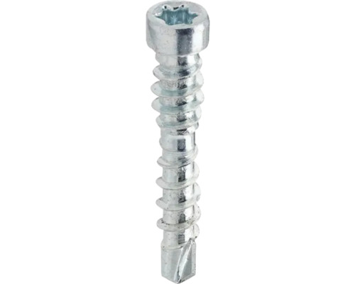 Plåtskruv med invändig sexkantsfattning