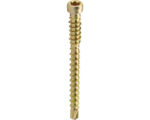 Träskruv med Torx-drivning