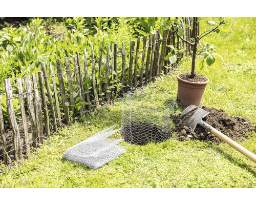 Trädgårdsscen med ett trästaket, ett ungt träd i kruka, en spade och ett nät för växtskydd.