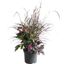 Blomsterarrangemang med prydnadsgräs och rosa blommor i en kruka