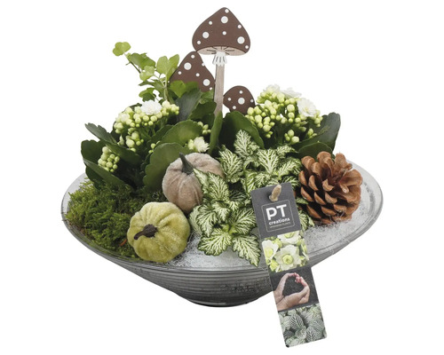 Dekorativ höstplanteringsskål med svampfigurer, pumpor, kottar och växtarrangemang i en glasskål