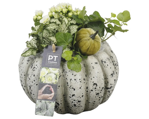 Dekoration med pumpa, växter och PT Creations logotyp
