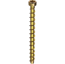 Skruv med invändig Torx