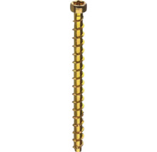 Torx skruv