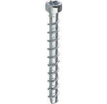 Träskruv med torx-drivning