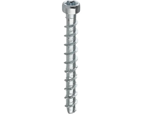 Träskruv med torx-drivning