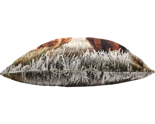 Prydnadskudde med skotsk höglandsko motiv