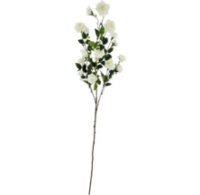 Dekorativ ros med gröna blad