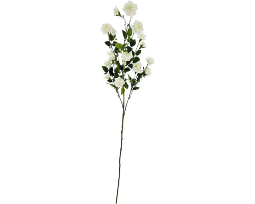 Dekorativ ros med gröna blad