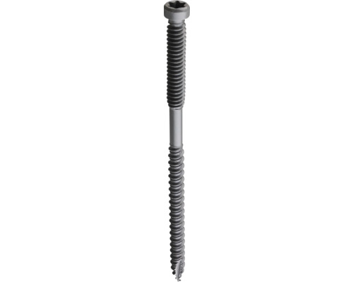 Trallskruv GRABBER T-REX 5,6x115mm utvändig TX C4 50-pack TREXEC11550 Trallskruv GRABBER T-REX 5,6x115mm utvändig TX C4 50-pack TREXEC11550