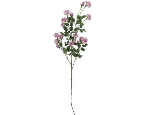 Dekorativ rosgren med blommor och blad