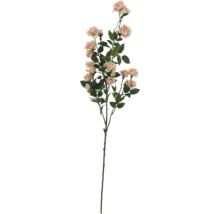 Dekorativ rosenkvist med blommor och blad