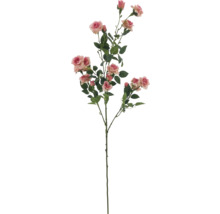 Dekorativ rosenkvist med blommor och blad