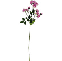 Dekorativ rosenkvist med blommor och blad