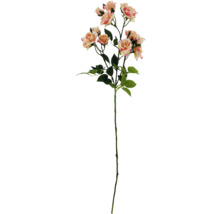 Dekorativ rosenkvist med blad och blommor