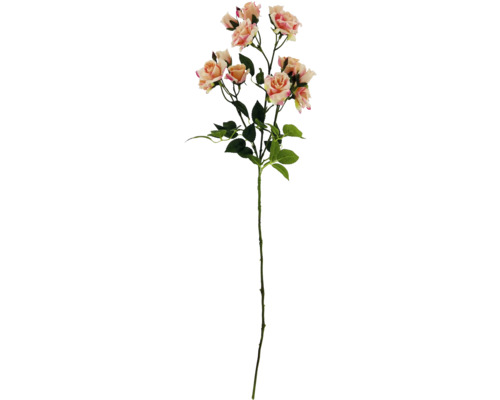 Dekorativ rosenkvist med blad och blommor