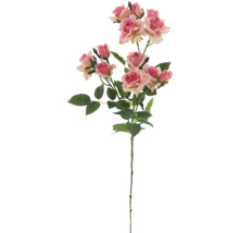 Dekorativ rosengren med blad och blommor