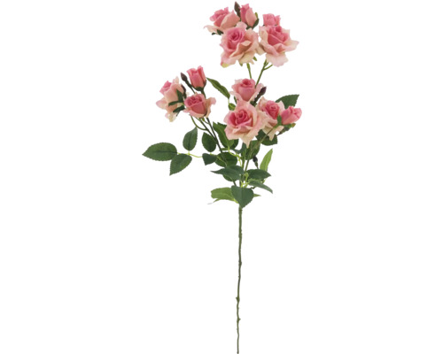 Dekorativ rosengren med blad och blommor