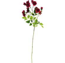 Dekorativ rosenkvist med blad och blommor
