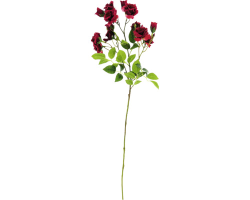 Dekorativ rosenkvist med blad och blommor
