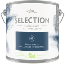 Färgehink med matt väggfärg Selection