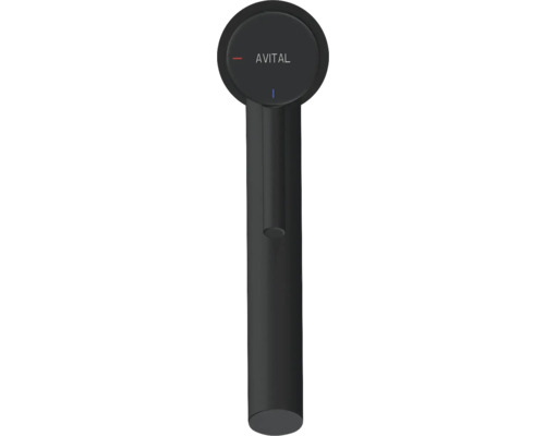 Avital köksblandare