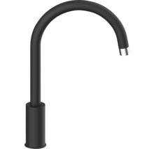 Svart vattenkran med böjd pip