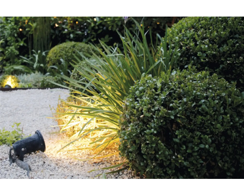 Trädgårdslandskap med markspotlight, växter och grusgång